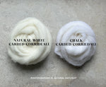 Load image into Gallery viewer, Carded Corriedale Slivers - CHALK (NEW WHITE)