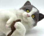 Load image into Gallery viewer, Kitty The Kitten Artisan Needle Felting WOW Kit
