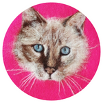 Load image into Gallery viewer, Needle Felted Cat Picture Kit
