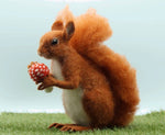 Load image into Gallery viewer, Solly The Squirrel Needle Felting Kit
