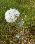 Load image into Gallery viewer, Workshop in a Box - Needle Felted Dandelions by Anna Potapova