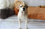 Load image into Gallery viewer, Masterclass Workshop Tutorial - Needle Felted Labrador Dog