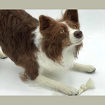 Load image into Gallery viewer, Benji the Border Collie Artisan Needle Felting WOW Kit
