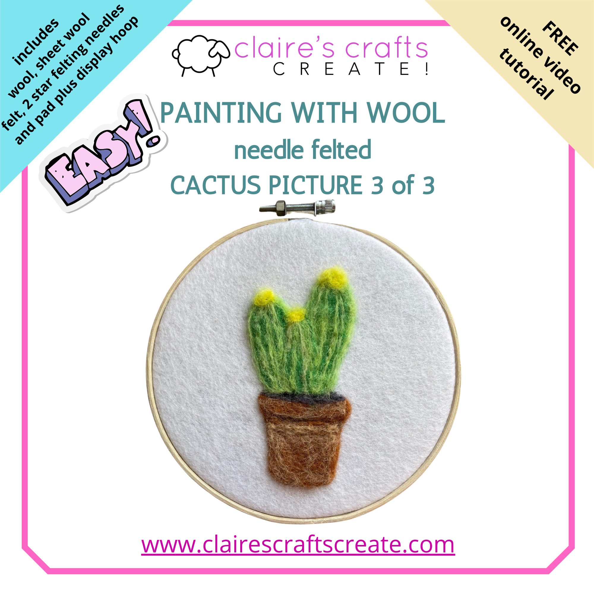 EASY Painting with Wool!   2D Needle Felted Picture Kit - Cactus (1 of 3 in Cactus Set)