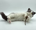 Load image into Gallery viewer, Kitty The Kitten Artisan Needle Felting WOW Kit
