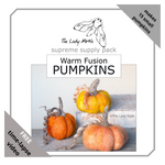 Load image into Gallery viewer, The Lady Moth WARM FUSION supreme needle felted pumpkin supply pack
