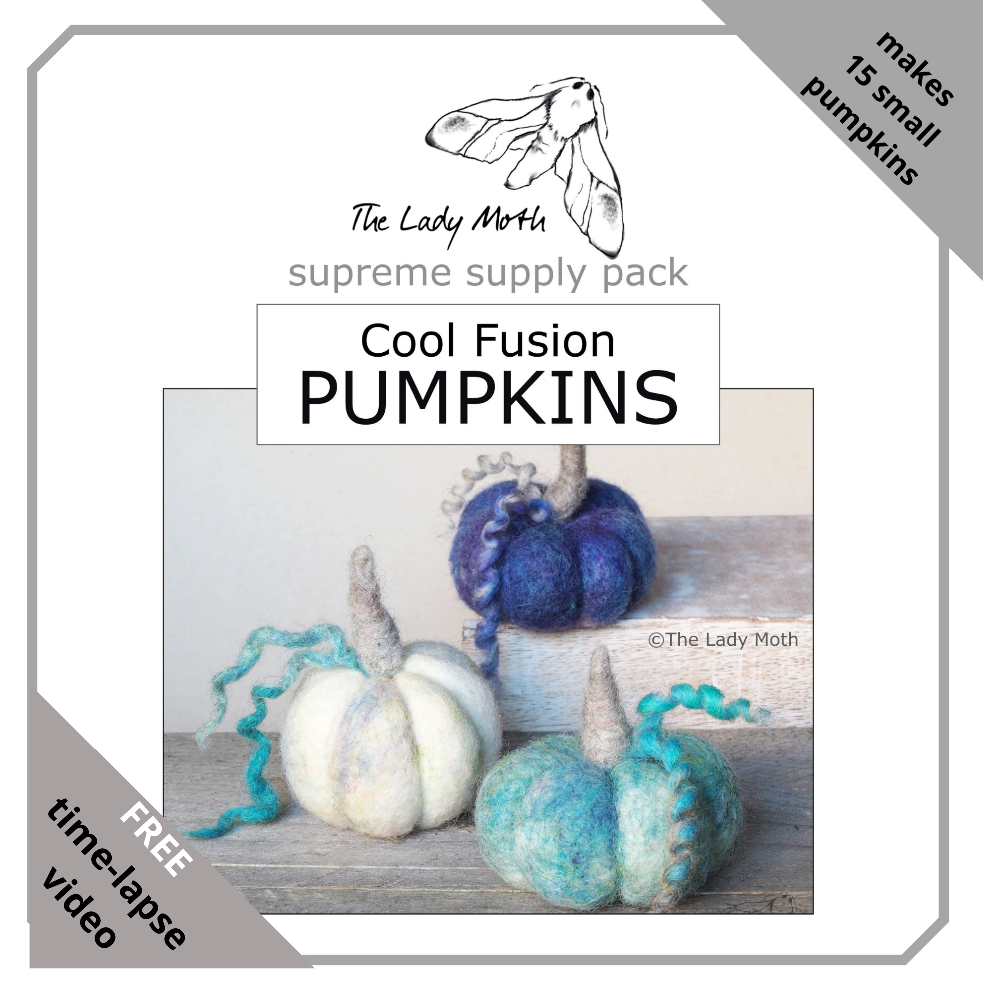 The Lady Moth COOL FUSION supreme needle felted pumpkin supply pack