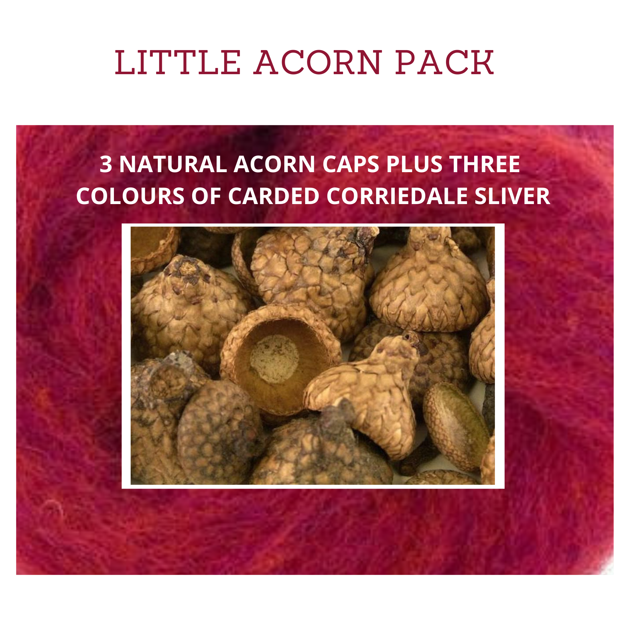 Needle Felted Little Acorns Supply Pack