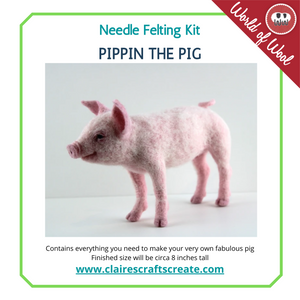 Pippin The Pig  Needle Felting Kit