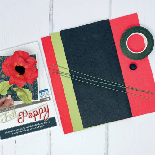 Clearance - Felt Poppy - Felting Kit by The Crafty Kit Company – Felt ...