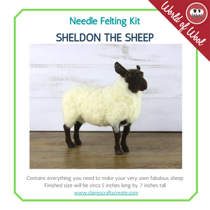 Sheldon the Sheep   Needle Felting Kit