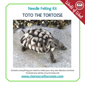 Toto the Tortoise Artisan Needle Felting WOW Kit