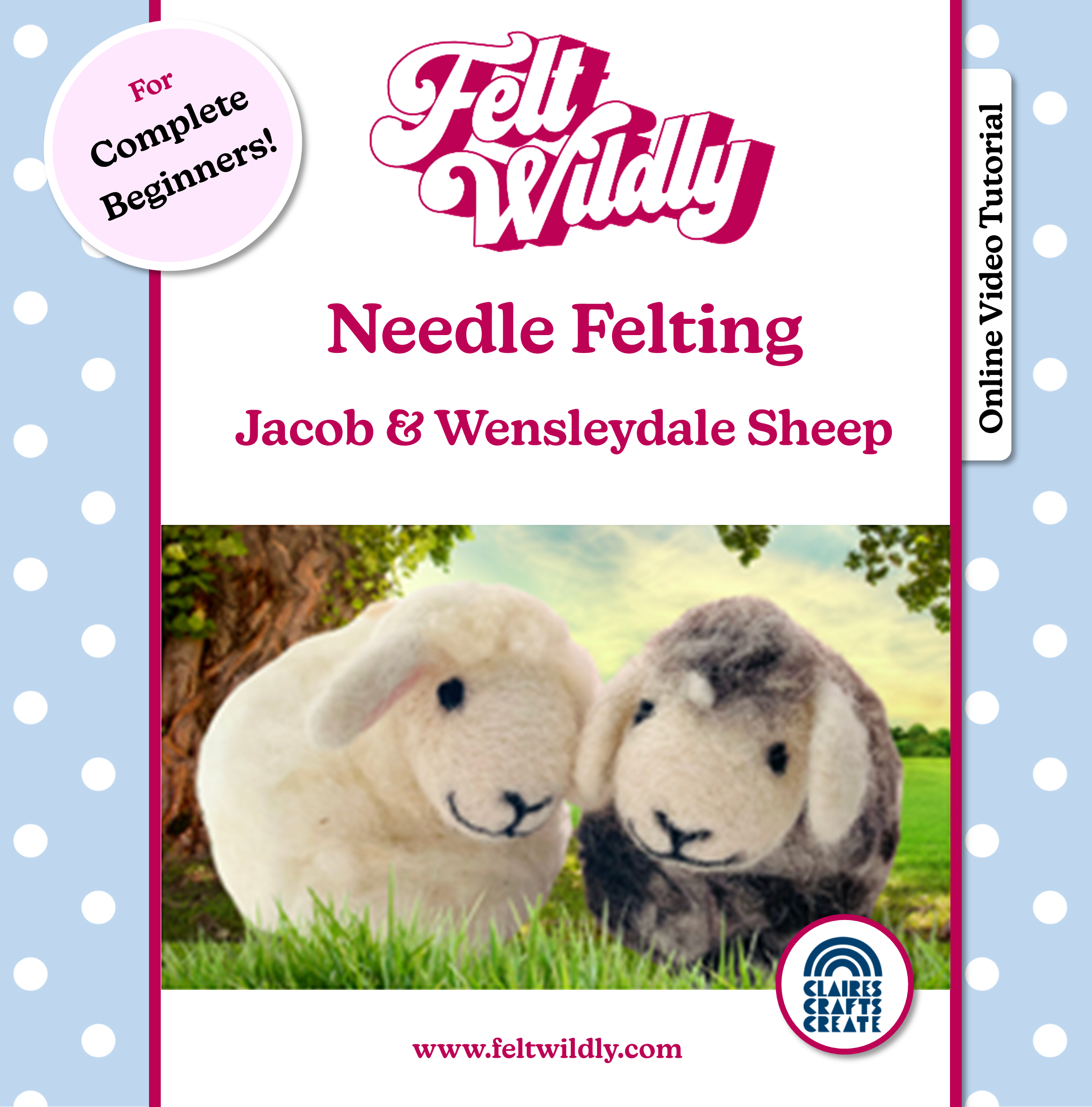 Workshop in a Box - Introduction to Needle Felting - Jacob and Wensleydale Sheep!