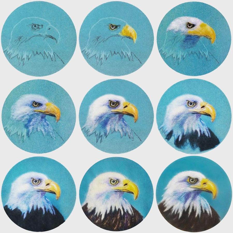 Needle Felted Bald Eagle Picture Kit