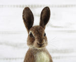 Load image into Gallery viewer, Romeo The Rabbit Artisan Needle Felting WOW Kit
