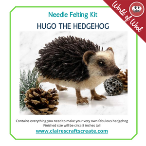 Hugo the Hedgehog  Needle Felting Kit