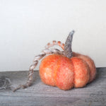 Load image into Gallery viewer, The Lady Moth WARM FUSION supreme needle felted pumpkin supply pack
