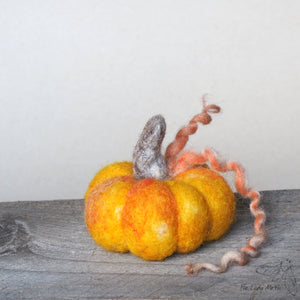 The Lady Moth WARM FUSION supreme needle felted pumpkin supply pack