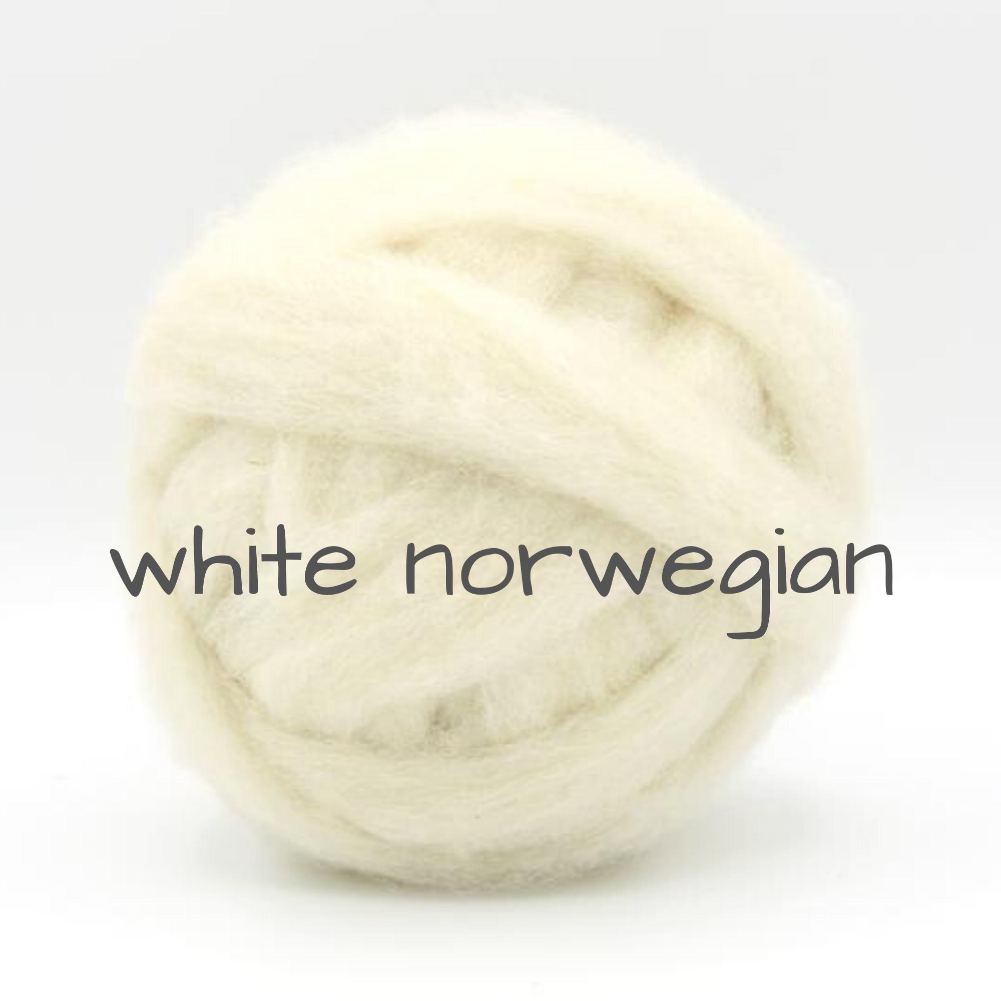 Carded - White Norwegian Slivers